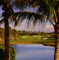 Bahama Golfing at Our Lucaya Resort Freeport Bahamas Our Lucaya Resort